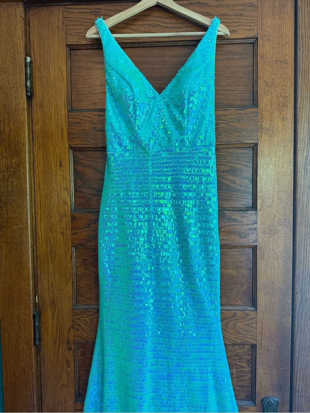 NWT TIFFANY DESIGNS 16065 Micro Fringe Sequin V Neck Mermaid Dress Evening Gown - Picture 5 of 14